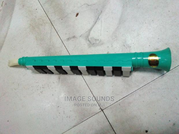 Melodica- 13 Keys - thumbnail 2