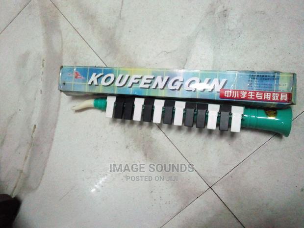 Melodica- 13 Keys - main view