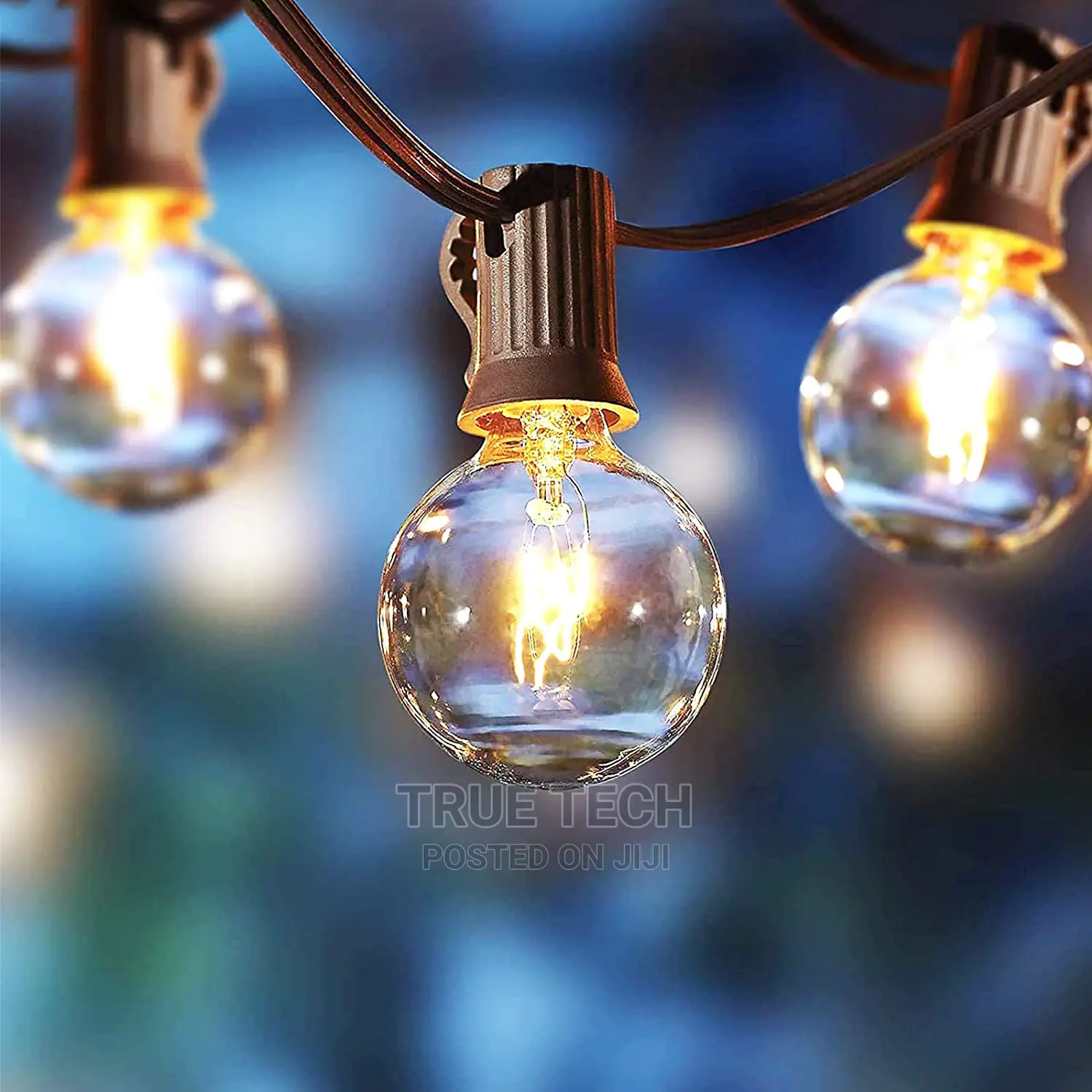 String Lights Electric