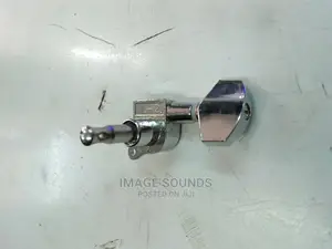 Acoustic Guitar Tuning Peg