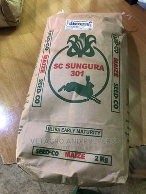 SC Sungura 301 Maize Seeds 2kg - main view