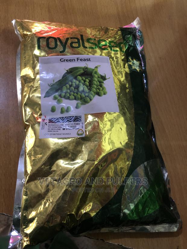 Green Feast Peas - Minji (Kigondoru) - main view