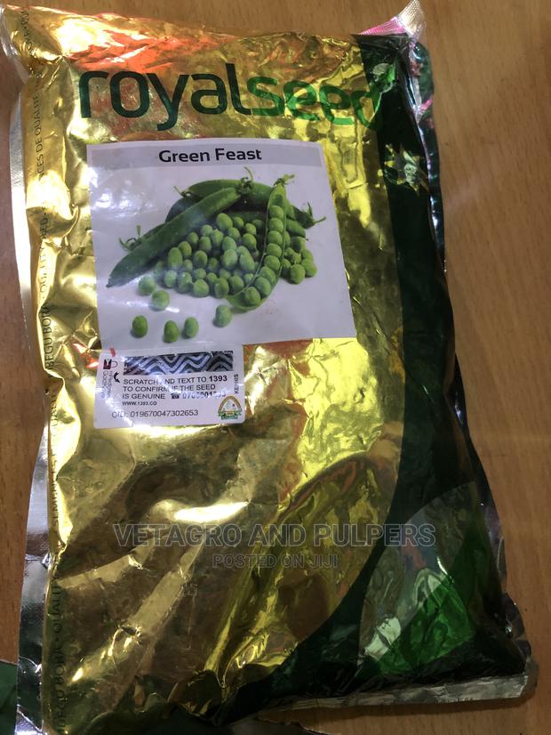 Green Feast Peas - Minji (Kigondoru) - thumbnail 3