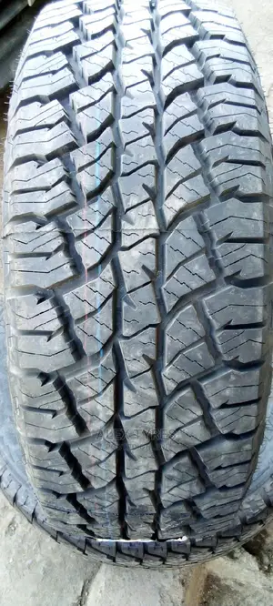 265/65r17 Joyroad Tyres Made in China
