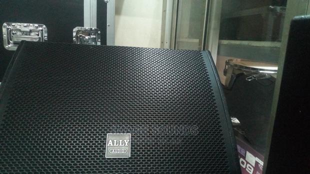 Monitor Speaker- Ally Audio 12" - main view