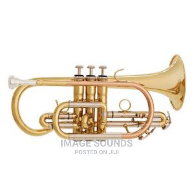 Cornet -Musical Instrument - main view