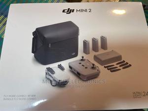 Dji Mini 2 Flymore Combo Dji Drone New - main view