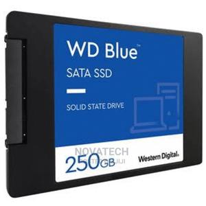 WD Bluetm 2.5" Sata Internal Ssd 250gb