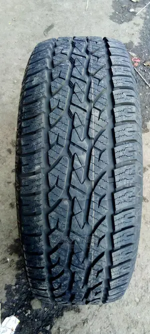 265/60r18 Blackhawk Tyre Is Made in China