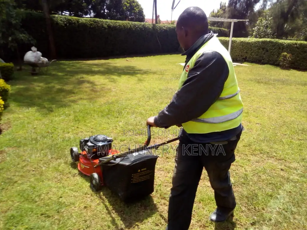 Lawn Mower 4.8hp