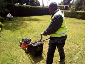 Lawn Mower 4.8hp