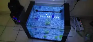 Table Aquarium ,Complete Aquarium