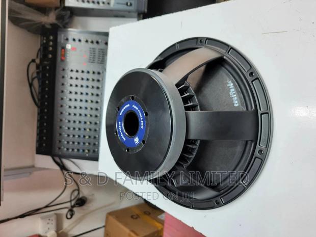 BM 12az-20 12 Inch Speaker - main view