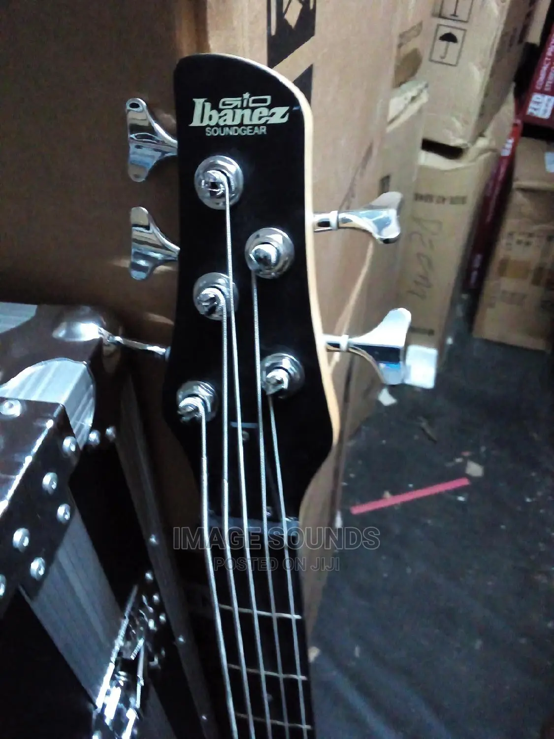 5 String Bass Guitar