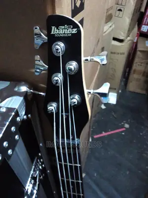 5 String Bass Guitar