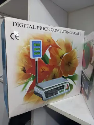 Digital Price Computing Scale With Double Display Arm