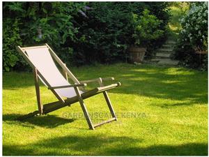 Shade Lawn Grass Seeds. - main view