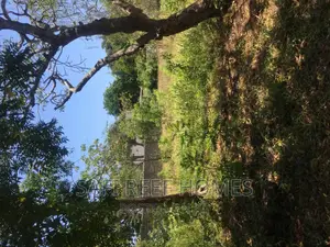 1 Acre Plot for Sale in Nyali