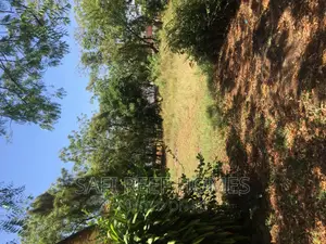 1 Acre Plot for Sale in Nyali