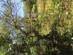 1 Acre Plot for Sale in Nyali