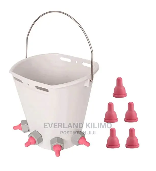 Improved Calf Milk Bucket With Teats