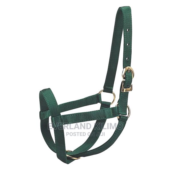 Cow Halter - main view