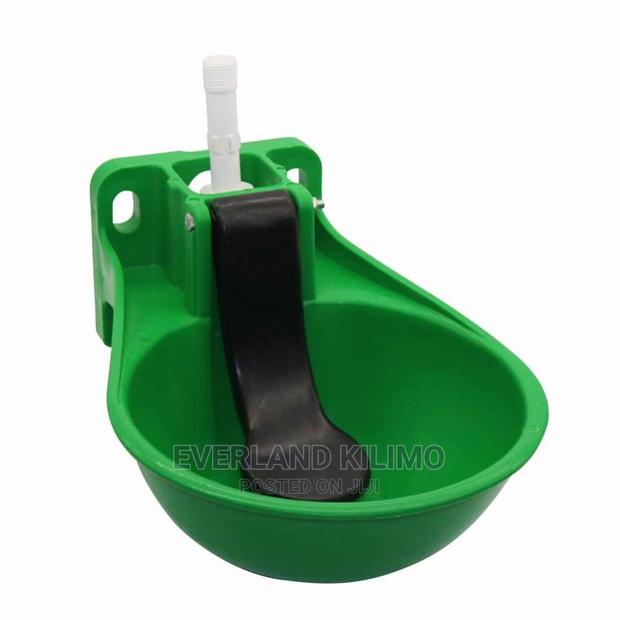 Plastic Automatic Cow Bowl - main view