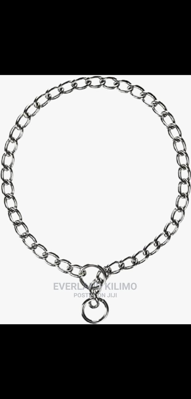 New Dog Choke Chain - main view
