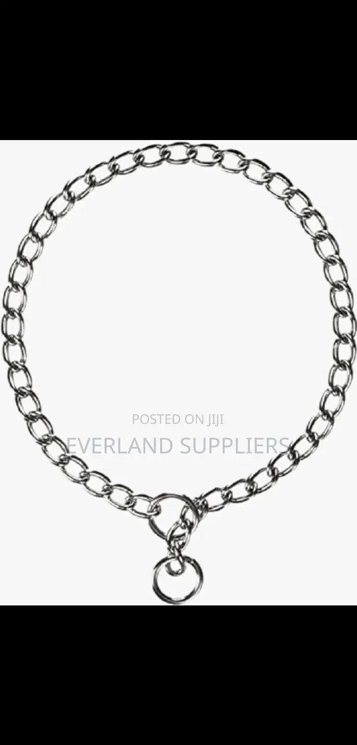 New Dog Choke Chain
