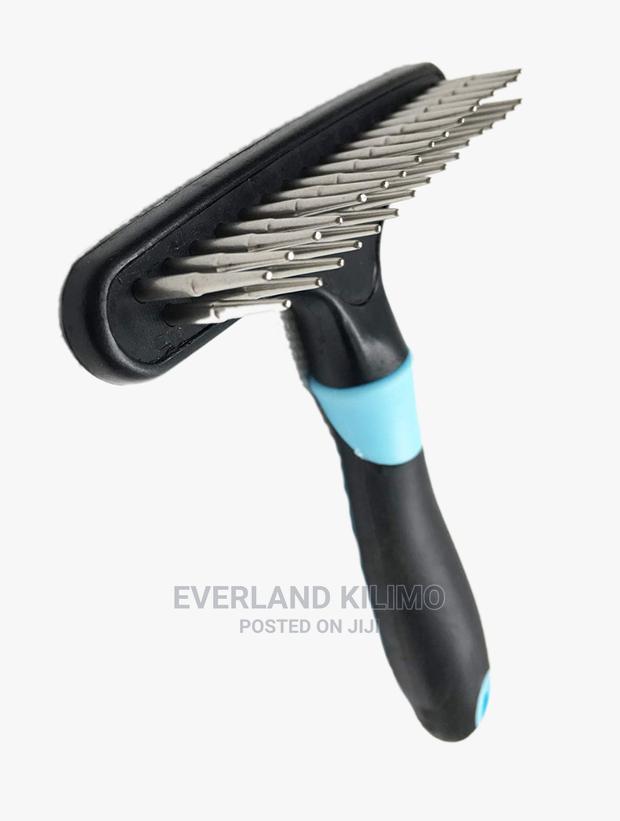 New Dog Rake - main view