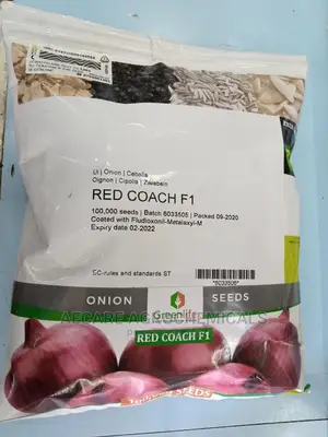 Redcoach F1 Hybrid Onion Seeds 400G
