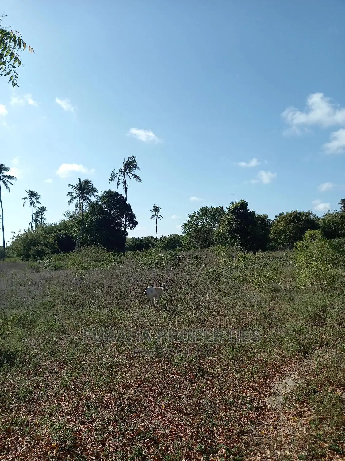 For Sale 30 Acres Touching Mombasa Malindi Rd