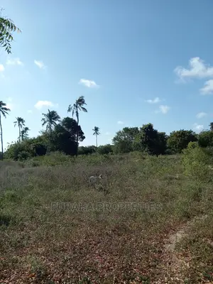 For Sale 30 Acres Touching Mombasa Malindi Rd