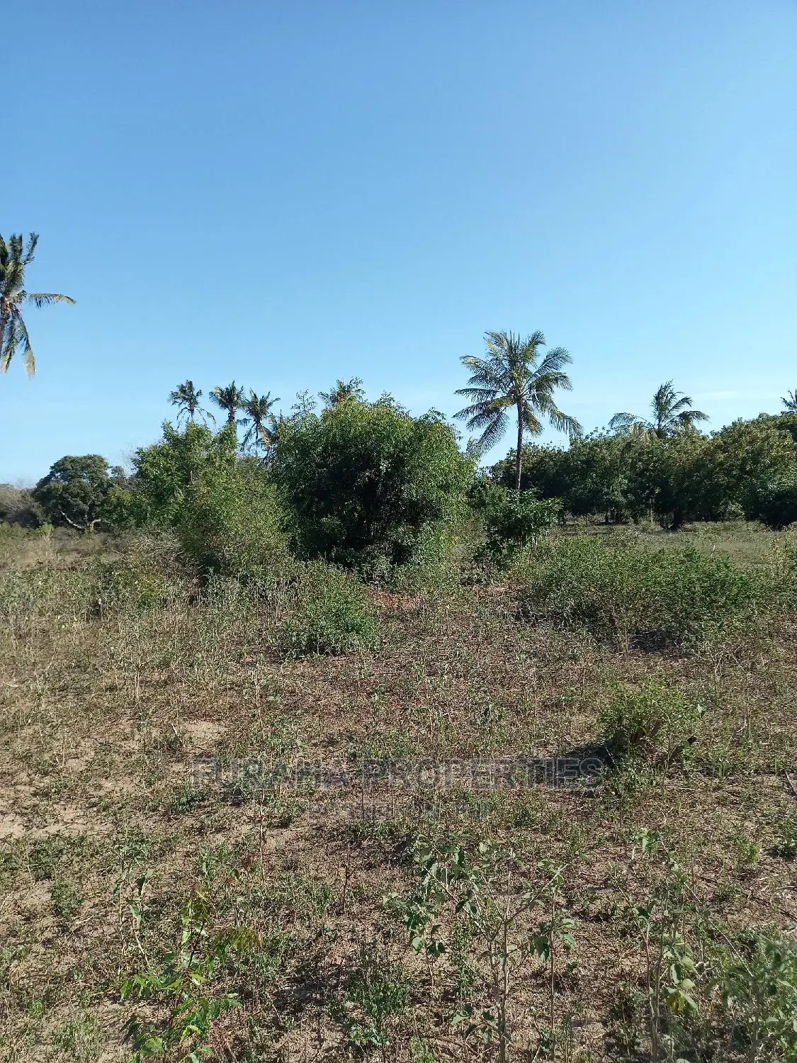 For Sale 30 Acres Touching Mombasa Malindi Rd