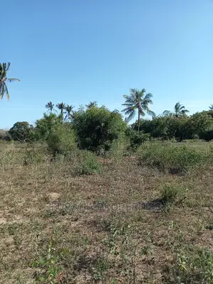 For Sale 30 Acres Touching Mombasa Malindi Rd