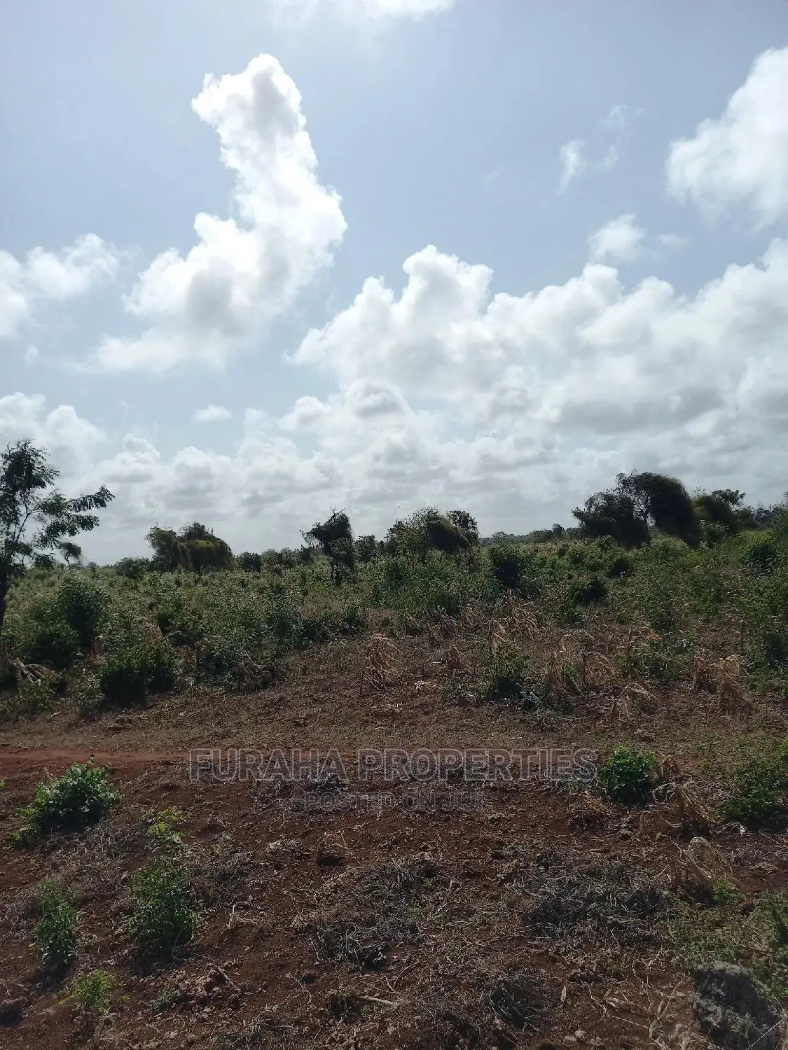 For Sale 16 Acres 4th Raw Beach North Coast
