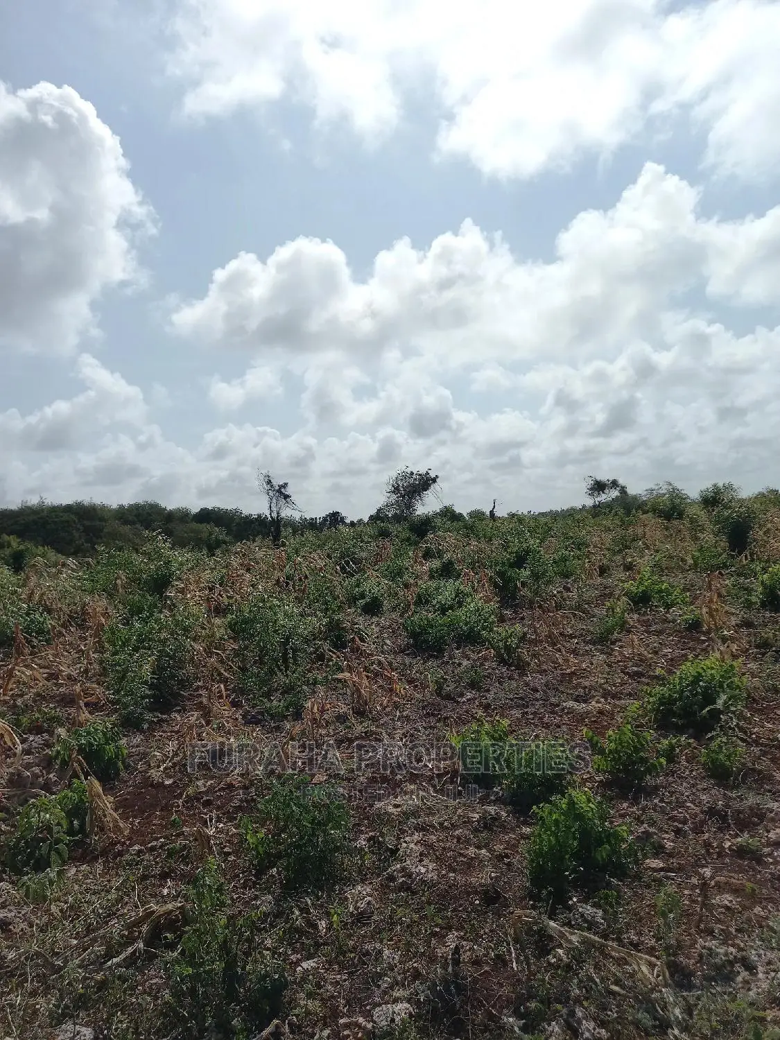 For Sale 16 Acres 4th Raw Beach North Coast