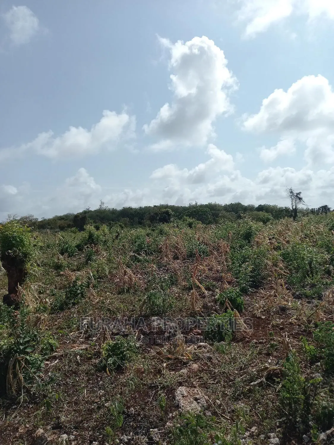 For Sale 16 Acres 4th Raw Beach North Coast
