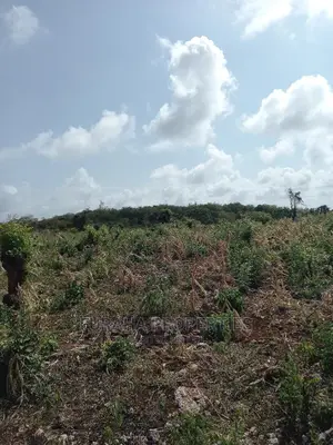 For Sale 16 Acres 4th Raw Beach North Coast