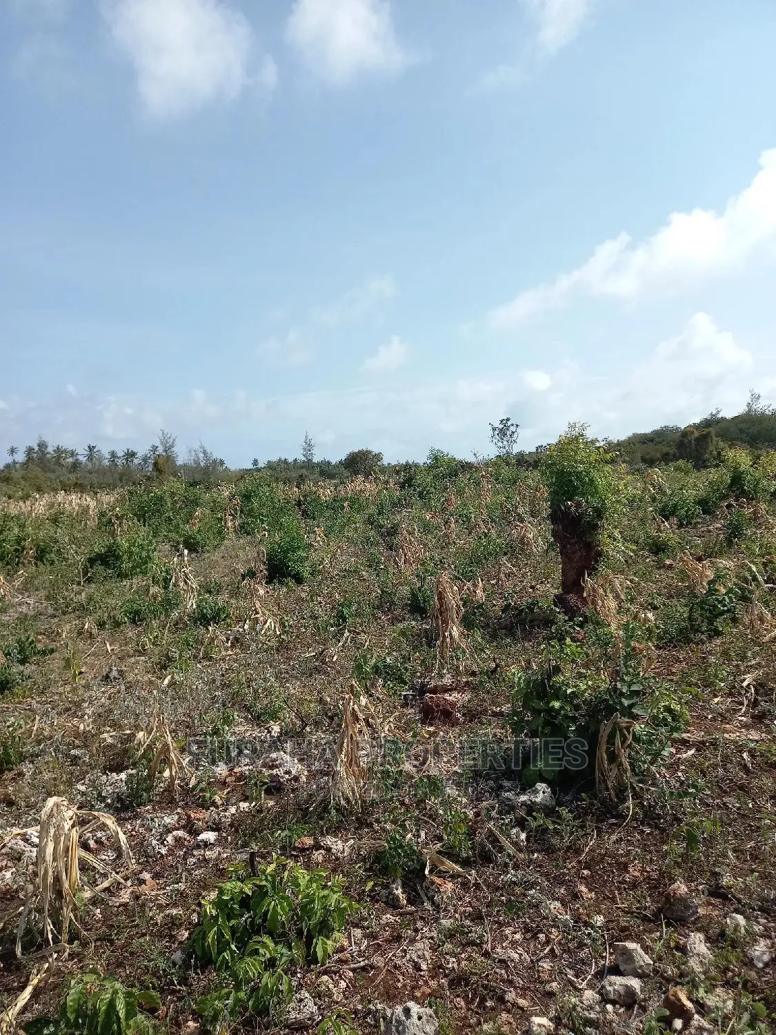 For Sale 16 Acres 4th Raw Beach North Coast