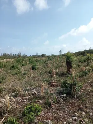 For Sale 16 Acres 4th Raw Beach North Coast