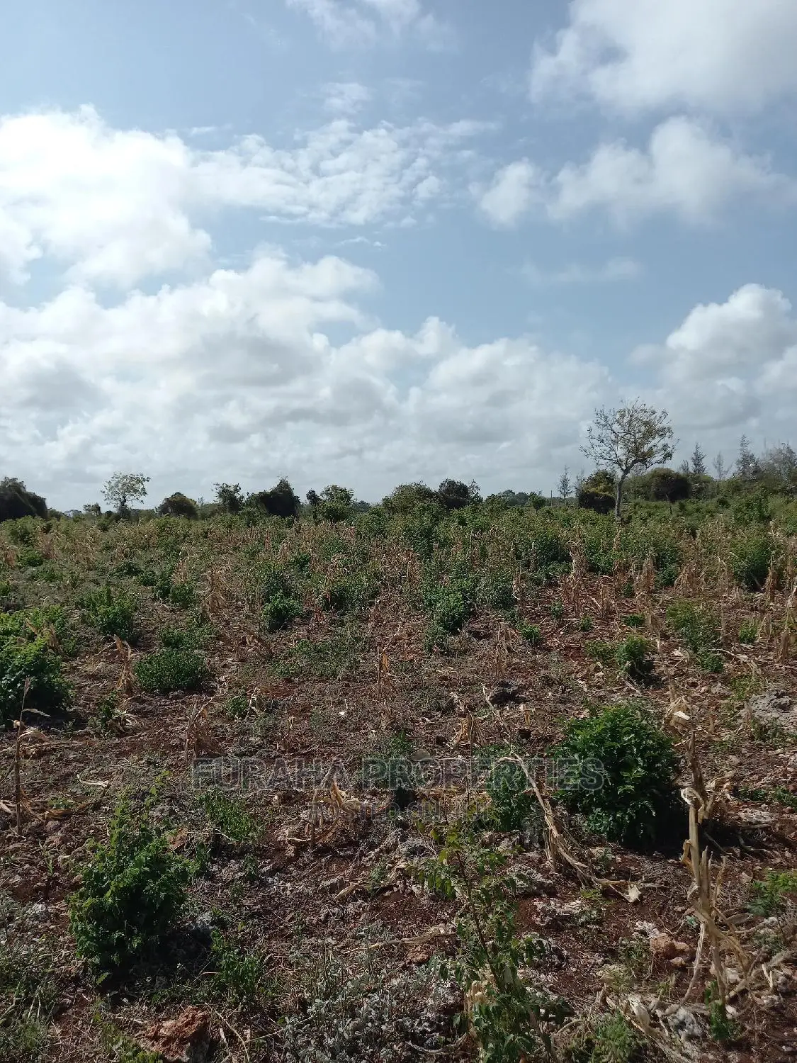 For Sale 16 Acres 4th Raw Beach North Coast