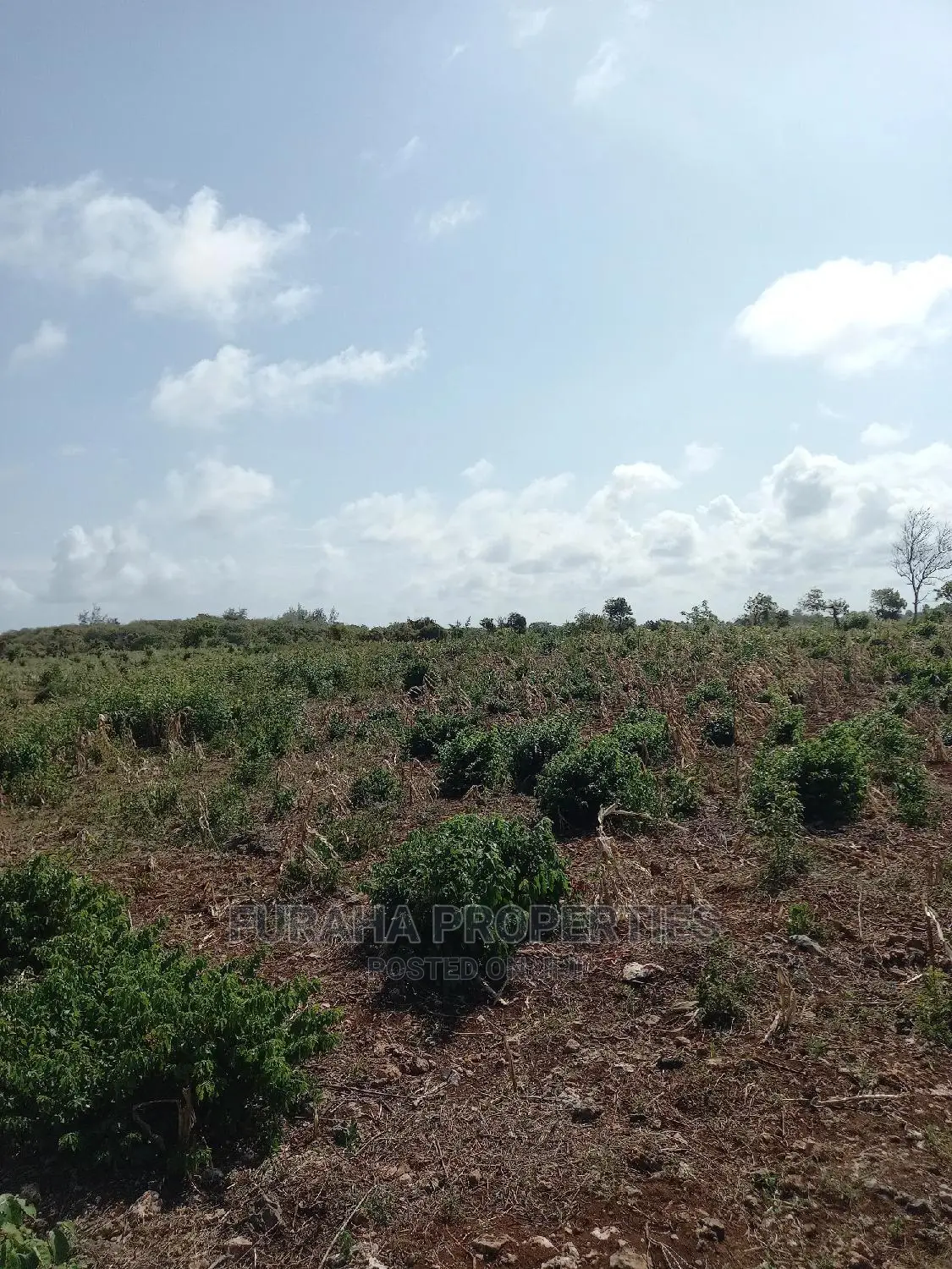 For Sale 16 Acres 4th Raw Beach North Coast