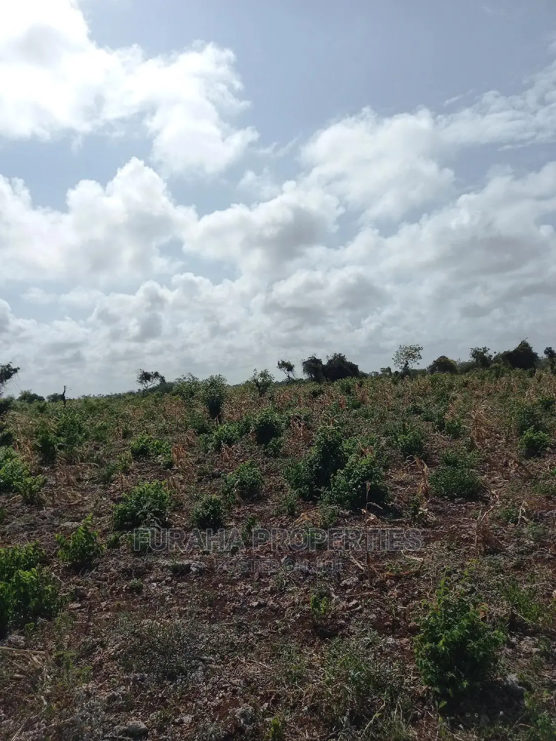 For Sale 16 Acres 4th Raw Beach North Coast