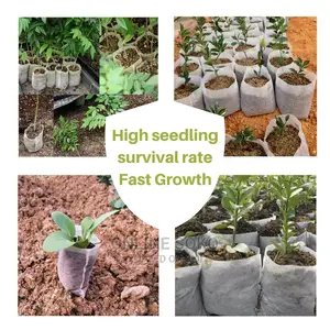 Biodegradable Non-Woven Nursery Planting Seedling Bag-50 PCS