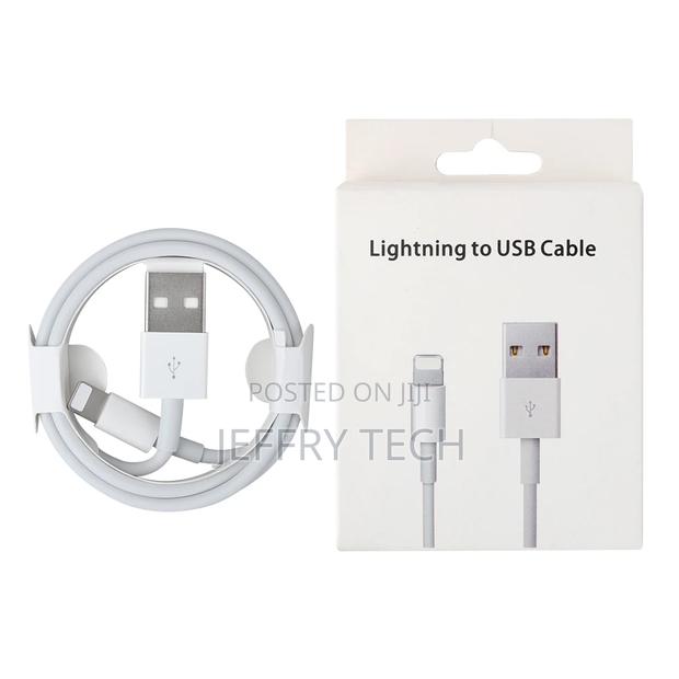 USB Lighting Cable for iPhone 12 2A Fast Charging USB Data C