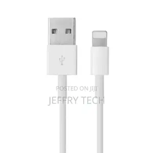 USB Lighting Cable for iPhone 12 2A Fast Charging USB Data C