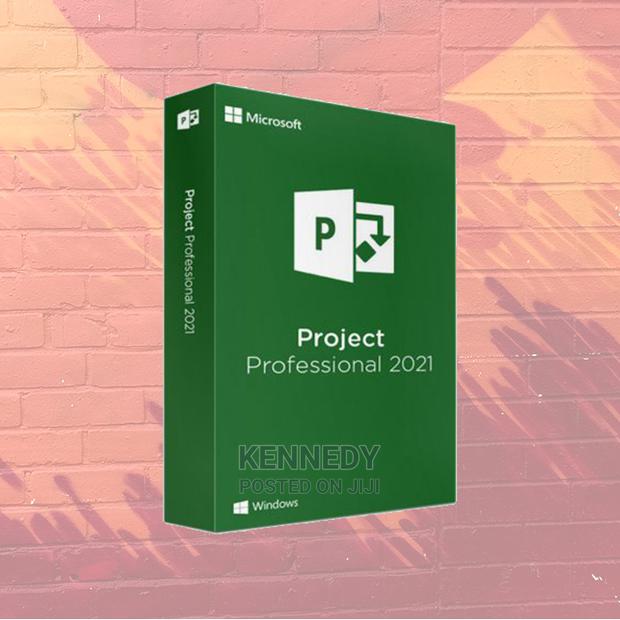Project Professional 2021 - main view