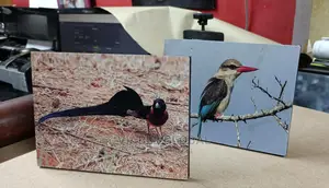 Great Deals on Photo Mounting Design