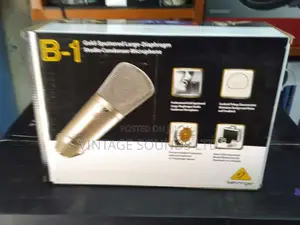 Studio Condenser Microphone Behringer B1
